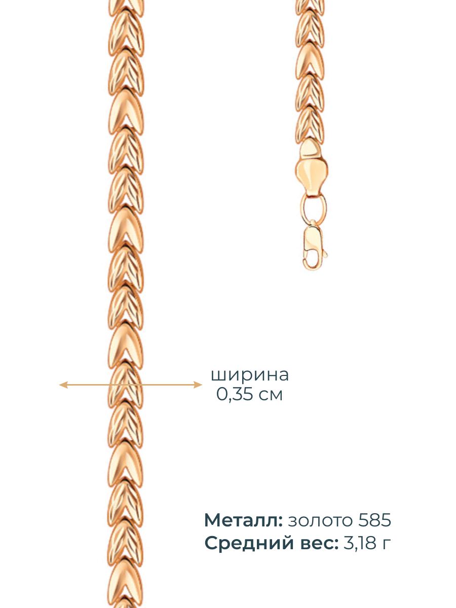 Браслет золотой 585 пробы 3,5 мм | 0710067-00240